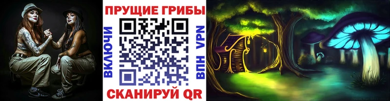 Купить закладки  Дубна  Псилоцибиновые грибы Cubensis 